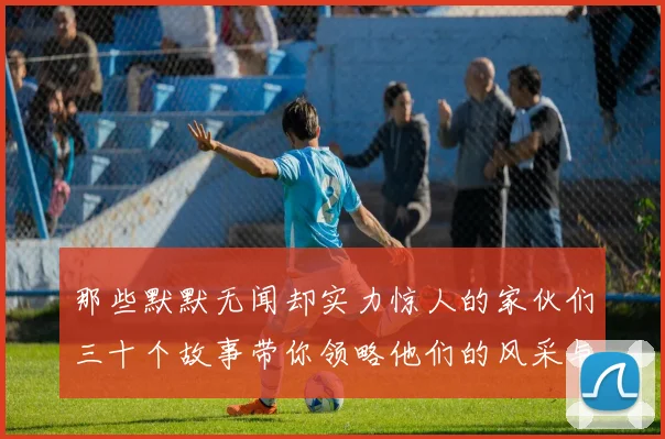 那些默默无闻却实力惊人的家伙们三十个故事带你领略他们的风采与传奇