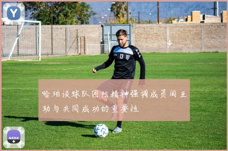 哈珀谈球队团结精神强调成员间互助与共同成功的重要性