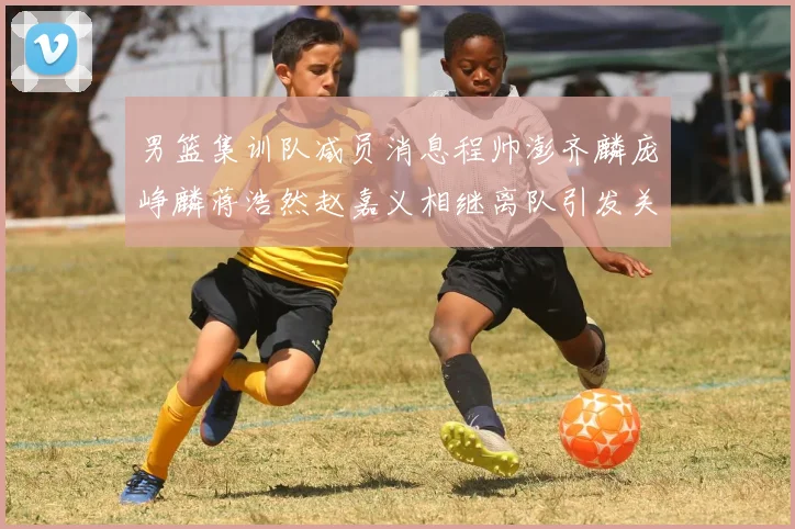 男篮集训队减员消息程帅澎齐麟庞峥麟蒋浩然赵嘉义相继离队引发关注