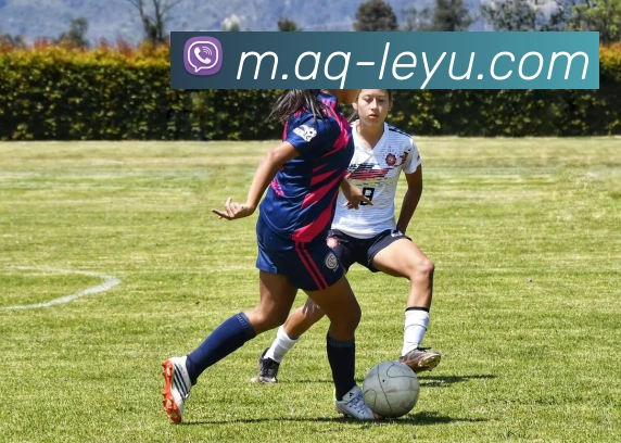 乐鱼体育平台生态图