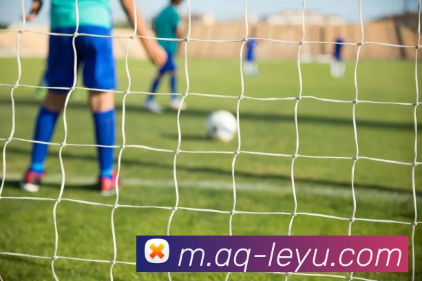 乐鱼体育全站App